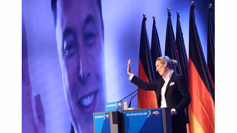 Партийни офиси в Кил и Фленсбург бяха атакувани с запалителни бомби и вандализъм