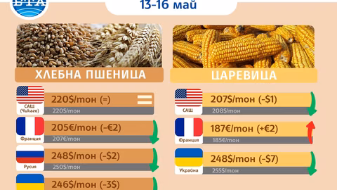 Минимални колебания в цените на основните зърнени култури и индустриални стоки тази седмица