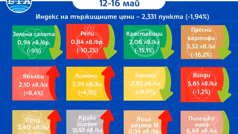 Цените на зеленчуците в България продължават да спадат значително тази седмица