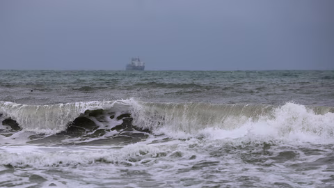Турските власти затвориха 268 предприятия заради морска слуз в Мраморно море