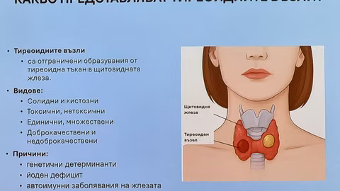 334 287 българи приемат лекарства за щитовидната жлеза през 2024 г.