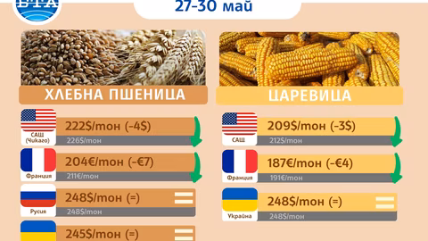 Цените на пшеницата и зърнените култури поевтиняват поради рекордна реколта