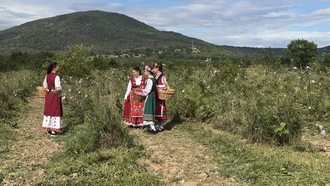Розоберът в Казанлък представи традициите в Долината на розите