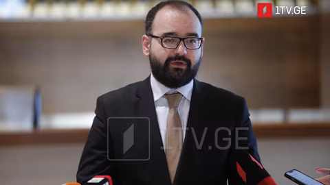 Григол Гегелия: Участието в изборите няма да легитимира режима в Грузия