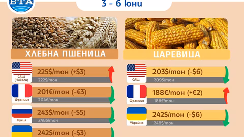 Зърнените пазари остават стабилни въпреки първоначалните опасения