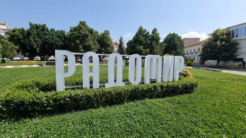 Община Радомир извършва нощна обработка срещу кърлежи и бълхи