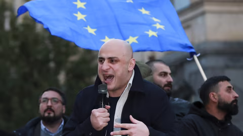Опозиционният лидер Ника Гварамия арестуван и поставен в предварителен арест
