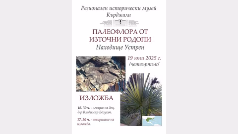 Изложба "Палеофлора от Източни Родопи" представя фосили от находище Устрен