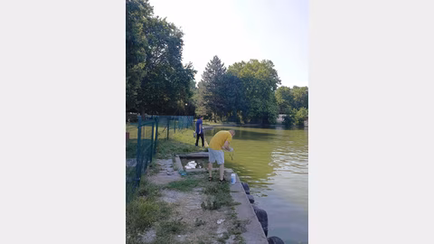Община Пазарджик провежда ефективна кампания за контрол на комарите
