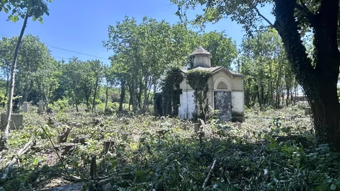 Община Силистра започна разчистване на стария гробищен парк край границата