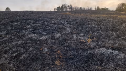 Зачестяват пожарите в сухи треви и храсти в Монтанско