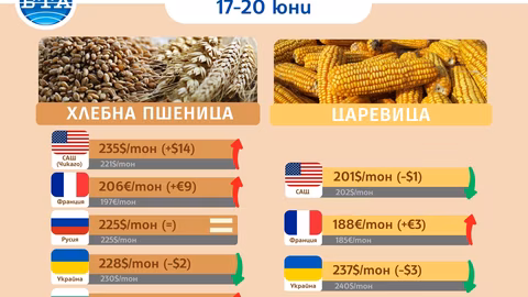 Изостреното напрежение между Израел и Иран вдига цените на зърнените пазари