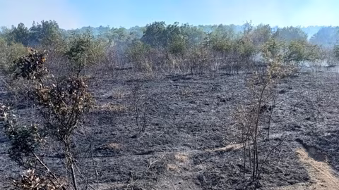 Пожар край село Иглика унищожи 300 декара треви и беше овладян