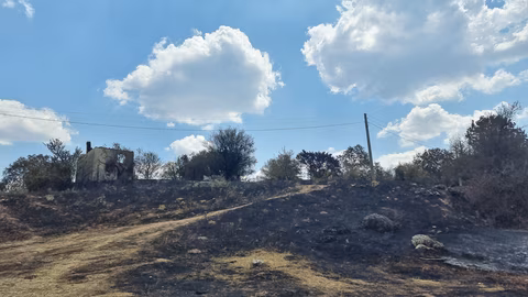 Пожарникарите в Нова Загора спасиха гора и имоти при голям пожар
