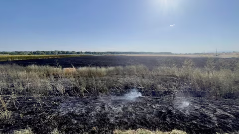 Пожар край автомагистрала "Тракия" край село Опълченец вече е потушен