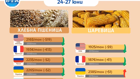 Цените на основните зърнени и промишлени стоки отбелязват спад през юни