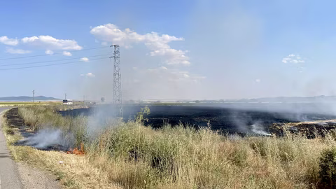 Забранява се машинно косене в България през горещия сезон с цел пожарна безопасност