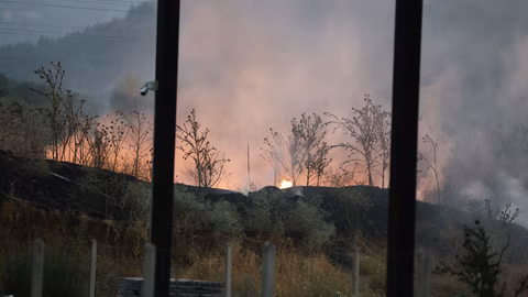 Пожар в горски район край село Хвойна е локализиран след намеса