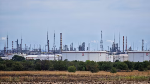 Над 170 вида птици са наблюдавани на площадката на „Лукойл Нефтохим Бургас“