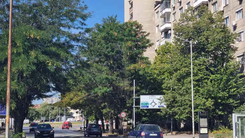 В Стара Загора започва кампания за премахване на опасни дървета по бул. „Славянски“