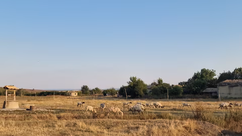 Областната епизоотична комисия в Пазарджик реагира на нови случаи на шарка