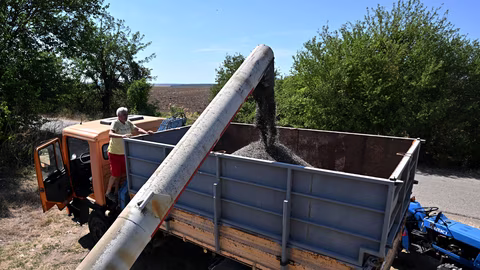 Прогнозират добри добиви на летни култури в Европа с регионални различия