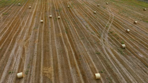 БАСЗЗ отхвърля задължителните дългосрочни договори за земеделска земя