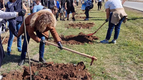 Община Враца засажда над 500 фиданки в нов етап от \"Зелена Враца\"