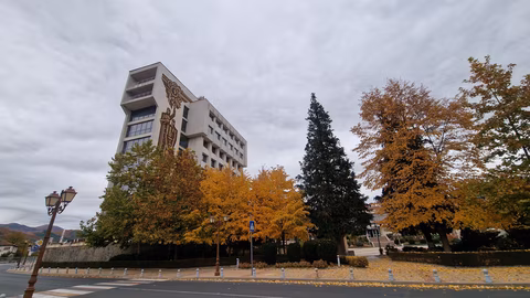 Общинският съвет на Златоград отхвърли създаването на звено за вътрешен одит