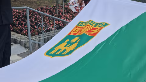 В Раднево ще запалят коледната елха с богата празнична програма