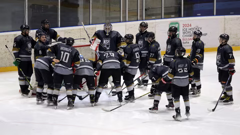 НСА настоява за справедливост след инцидент със съдия на хокей