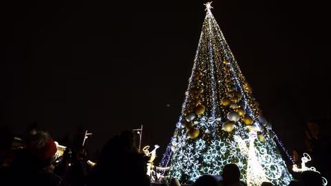 Кметът Васил Терзиев запали светлините на коледната елха в София