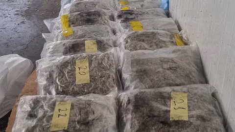 Полицията задържа над 17 кг марихуана при акция в Любимец