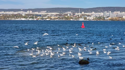 ОЦОСУР стартира „Екоакадемия“ за по-активно опазване на околната среда