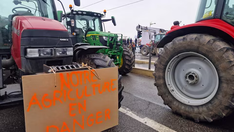 Над 10 000 фермери се събират в Брюксел с искания за бъдещето на селското стопанство