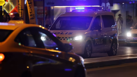 Турски звезди, включително Алейна Тилки, задържани при акция срещу наркотици