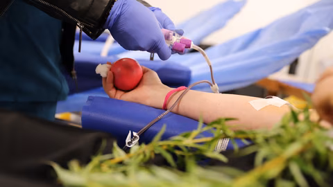 Центърът по трансфузионна хематология на ВМА отчита рекорд в кръводаряванията