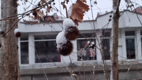 В Кюстендилско валежите са предимно сняг по високите места