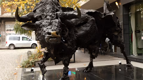 SOFIX достигна 17-годишен връх и се подготвя за еврото