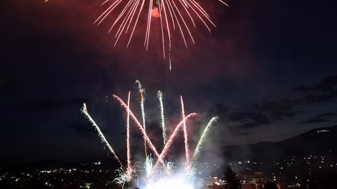 Експерти призовават за тихи новогодишни празници без фойерверки