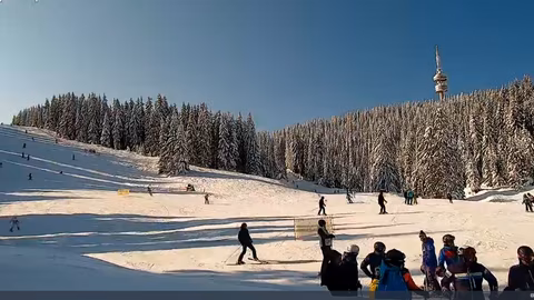 Рязка температурна инверсия създаде по-топли условия в Родопските върхове