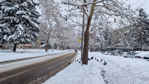 Снежни бури в област Разград: Екипи поддържат пътищата проходими