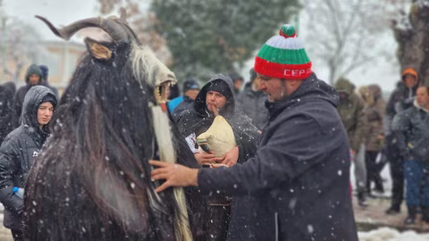 Традиционен кукерски празник в Главиница под мотото „Да си кукер е призвание“
