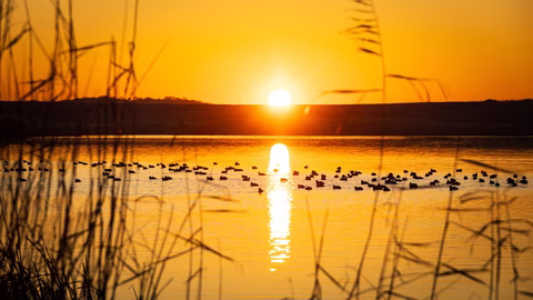Българска фондация „Биоразнообразие“ организира конкурс за ученици от Бургас