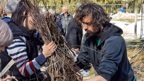 В Ямбол ще раздадат 15 хиляди дръвчета в подкрепа на природата