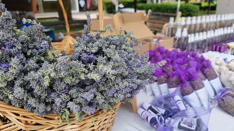 Регионално фермерско-занаятчийско изложение в Ямбол отбелязва десето издание