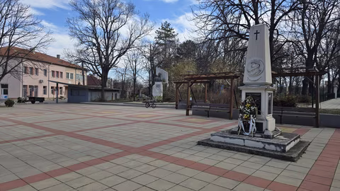 Община Бойница готви проект за подобряване на Домашния социален патронаж