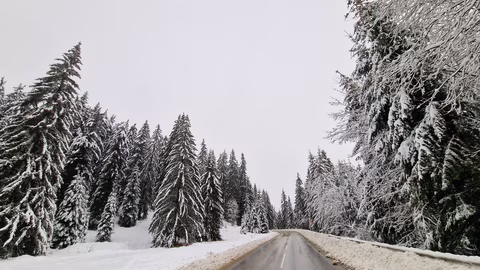 Отпадна ограничението за тежкотоварни камиони през прохода Рожен