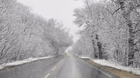 Област Добрич предупреждава за заледени пътища и ограничена видимост