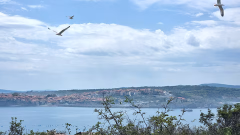 Екологът Димитър Попов подчертава нуждата от координация за опазване на Черно море